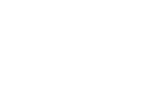 Wholebeing Health & Meditation Logo - White