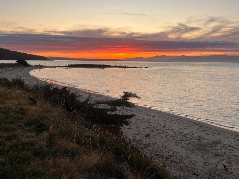 Free Guided Meditation - Open, Honest, Here